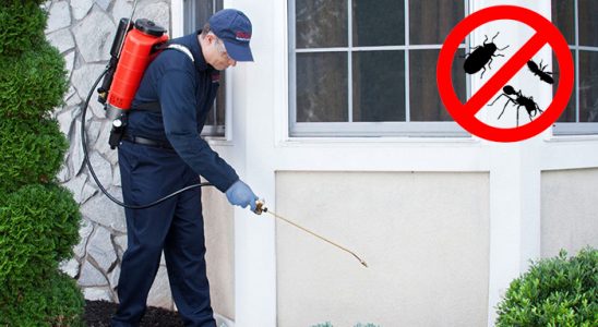 Diyadin Kene İlaçlama böcek ilaçlama ve haşere kontrolü — ilaclama-tr.com